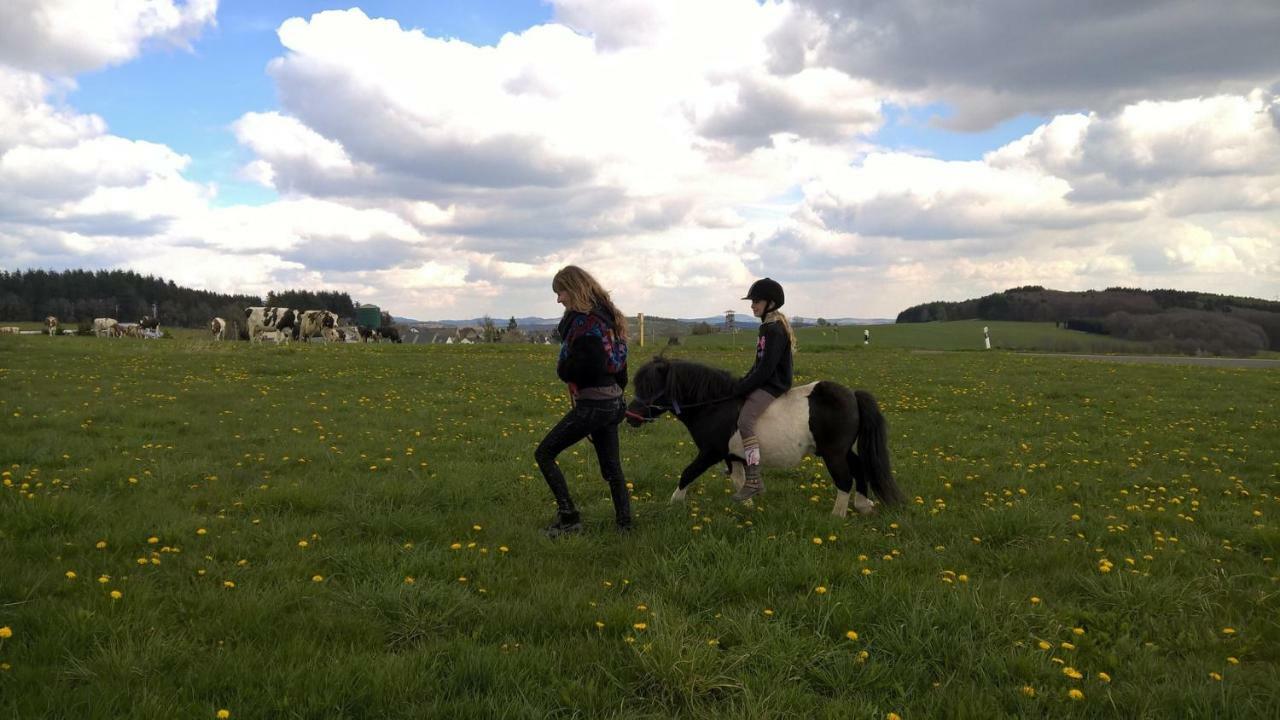 Vila Funny-Farm Sassen Exteriér fotografie