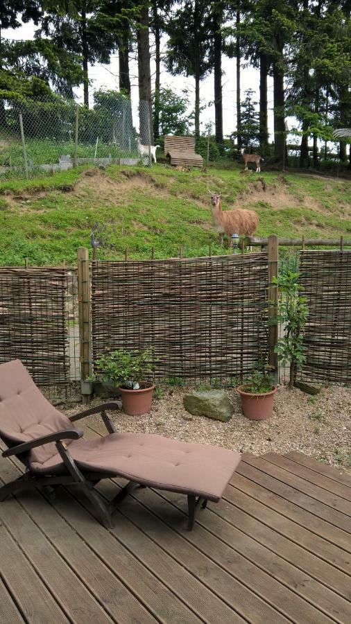 Vila Funny-Farm Sassen Exteriér fotografie