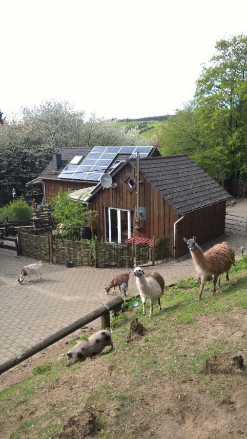 Vila Funny-Farm Sassen Exteriér fotografie